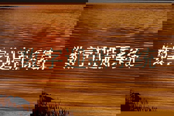 数字迎新系统