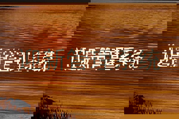 迎新管理系统