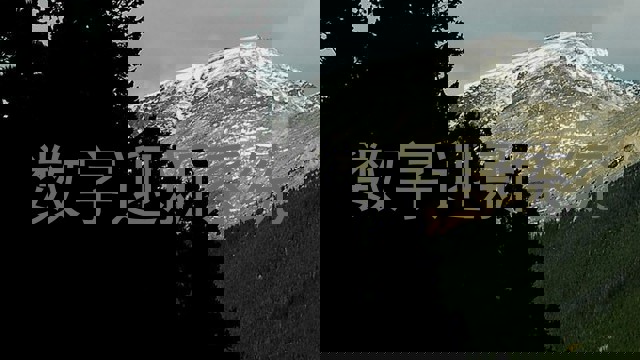 数字迎新系统