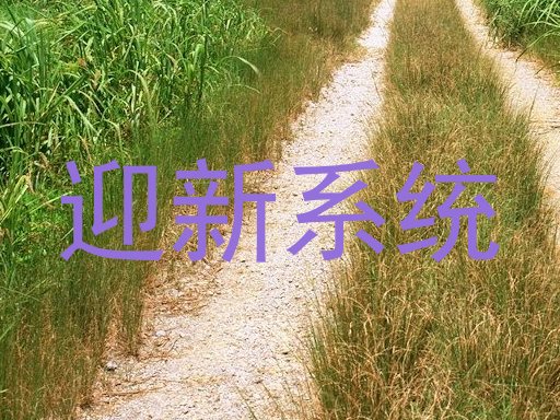 迎新系统