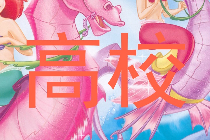 高校