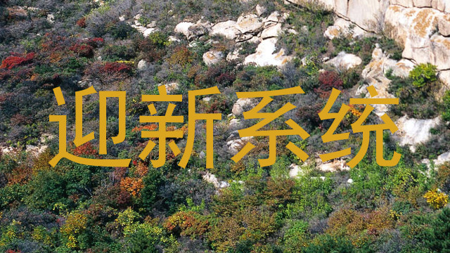 迎新系统
