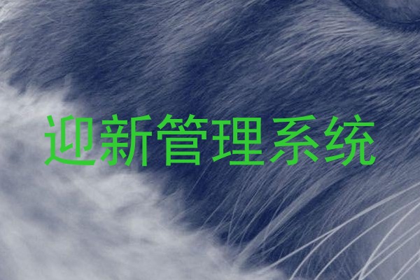 迎新管理系统