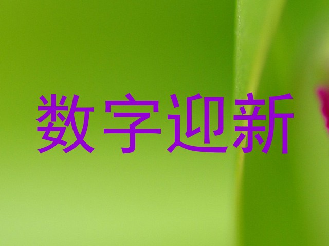 数字迎新