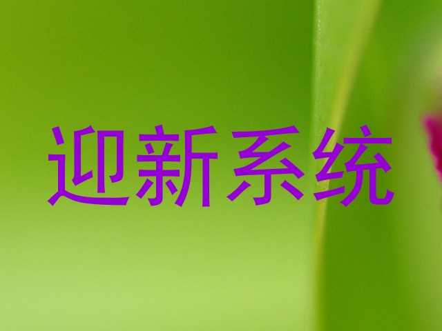 迎新系统