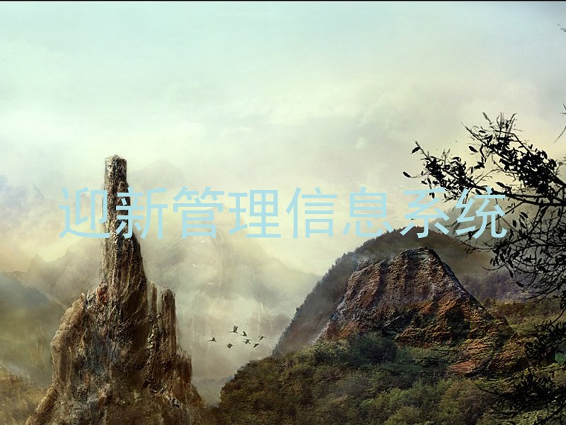 迎新管理信息系统