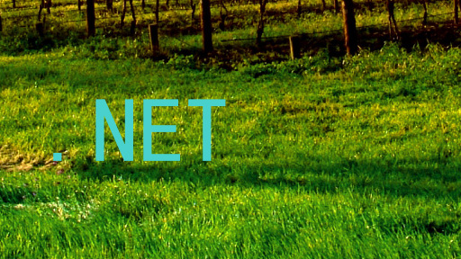 .NET