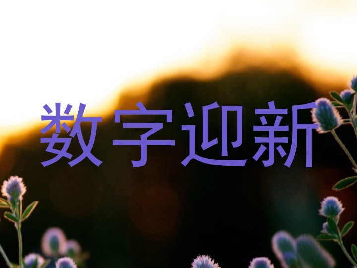 数字迎新