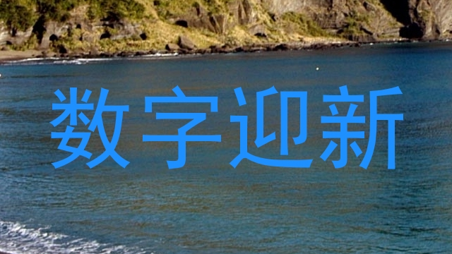 数字迎新