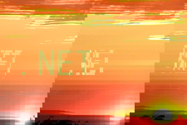 .NET