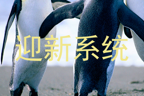 迎新系统