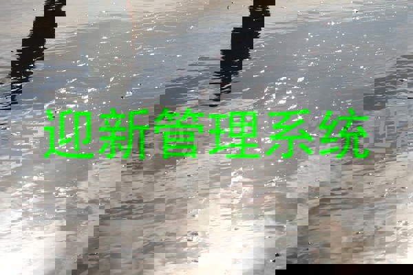 迎新管理系统