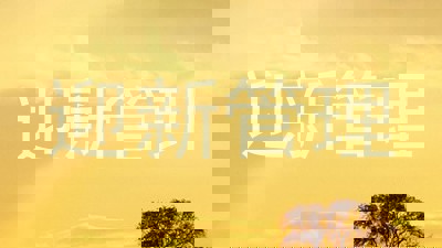 迎新管理