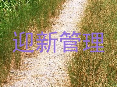 迎新管理