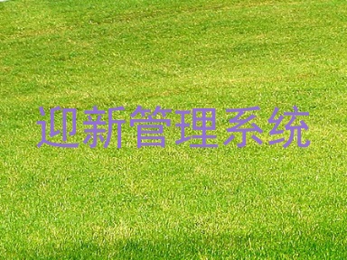 迎新管理系统