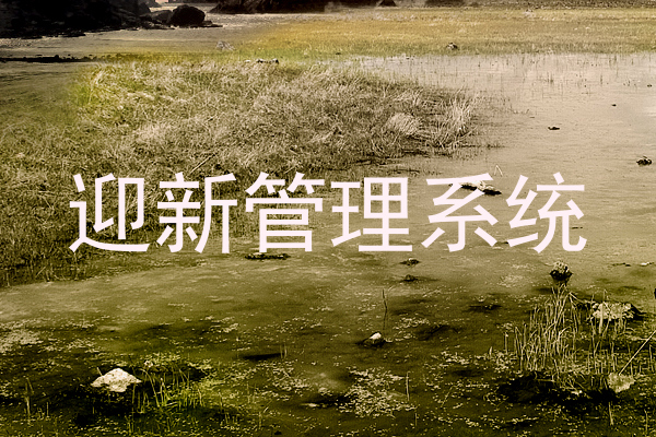 迎新管理系统