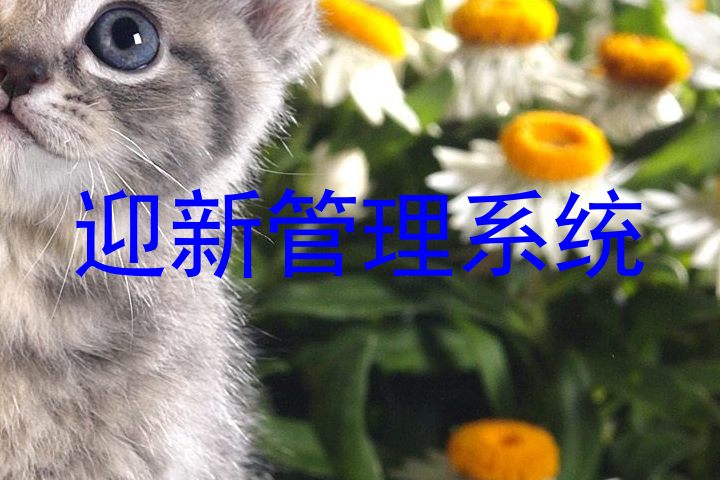 迎新管理信息系统