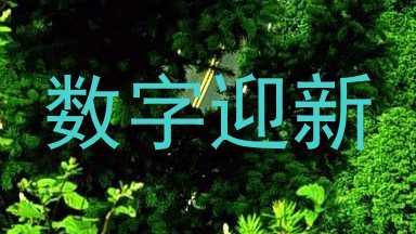 数字迎新