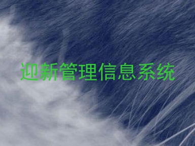 迎新管理信息系统