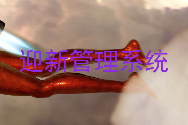 迎新管理系统