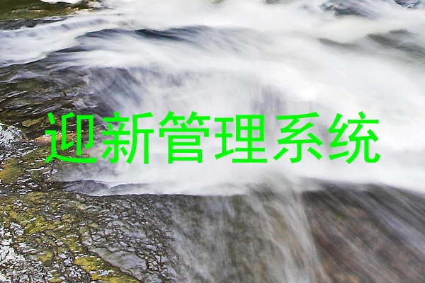 迎新管理系统