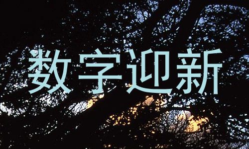 数字迎新