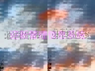 迎新管理信息系统