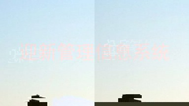 迎新管理信息系统