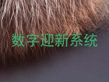 数字迎新系统