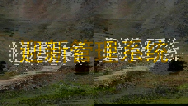 迎新管理信息系统