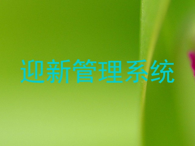 迎新管理系统
