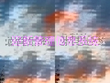 迎新管理信息系统