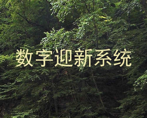数字迎新系统
