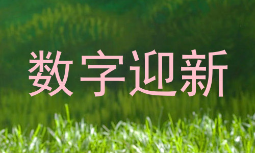 数字迎新