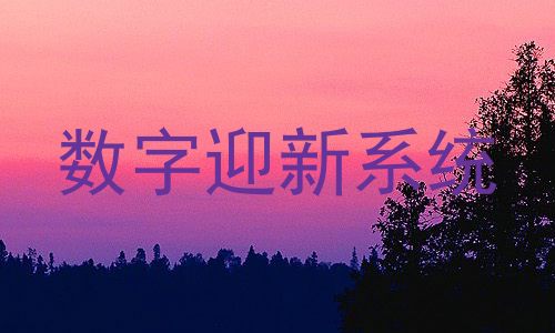 数字迎新系统