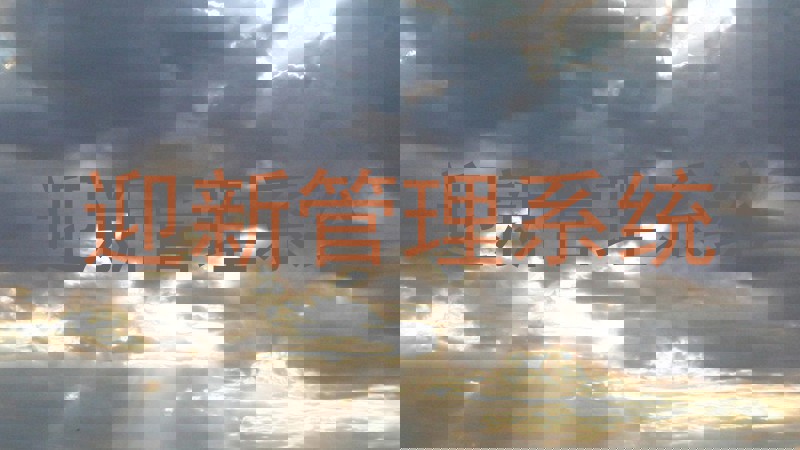迎新管理系统