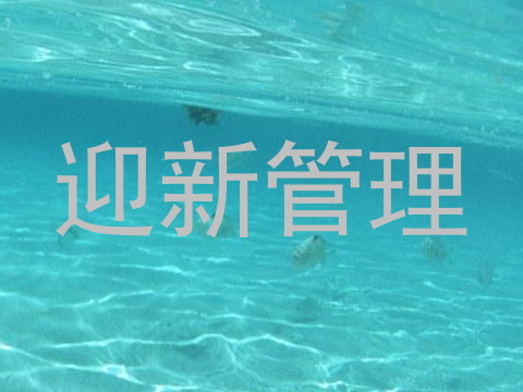 迎新管理