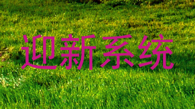 迎新系统