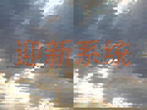 迎新系统