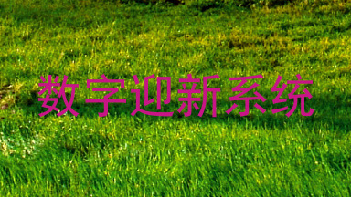 数字迎新系统