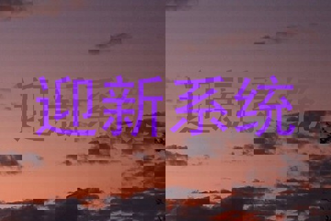 迎新系统