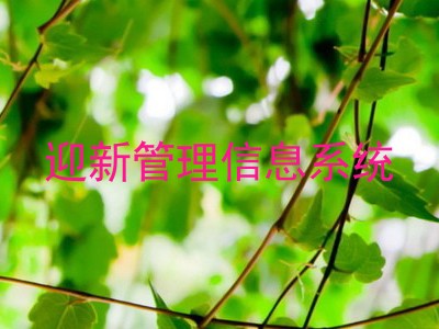 迎新管理信息系统