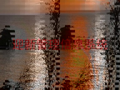 迎新管理信息系统