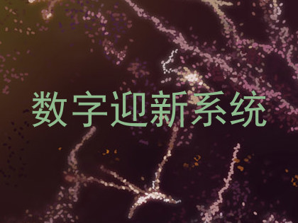 数字迎新系统