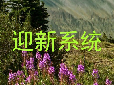迎新系统