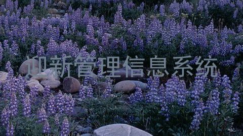 迎新管理信息系统