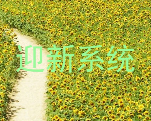 迎新系统