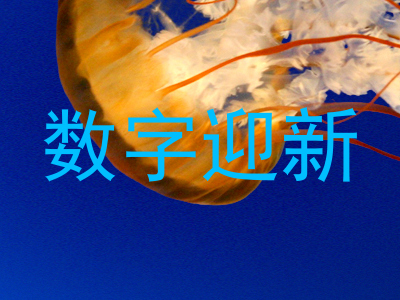 数字迎新
