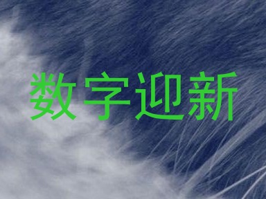 数字迎新