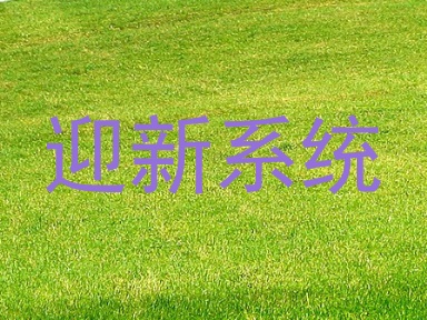 迎新系统